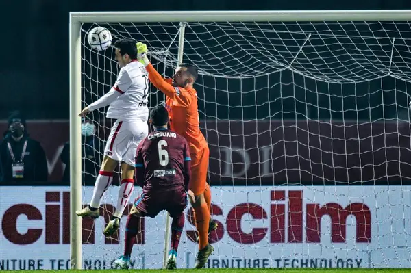 Đội á quân Asian Cup 2023