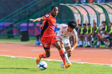 Thành tích Việt Nam tại Asian Cup